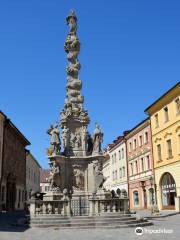 Plague column