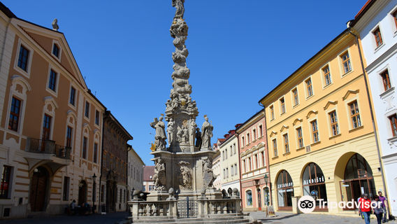 Чумная колонна