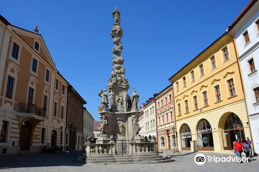 Plague column