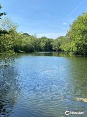 Swanwick Lakes Nature Reserve