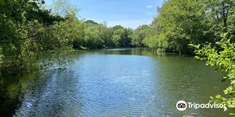 Swanwick Lakes
