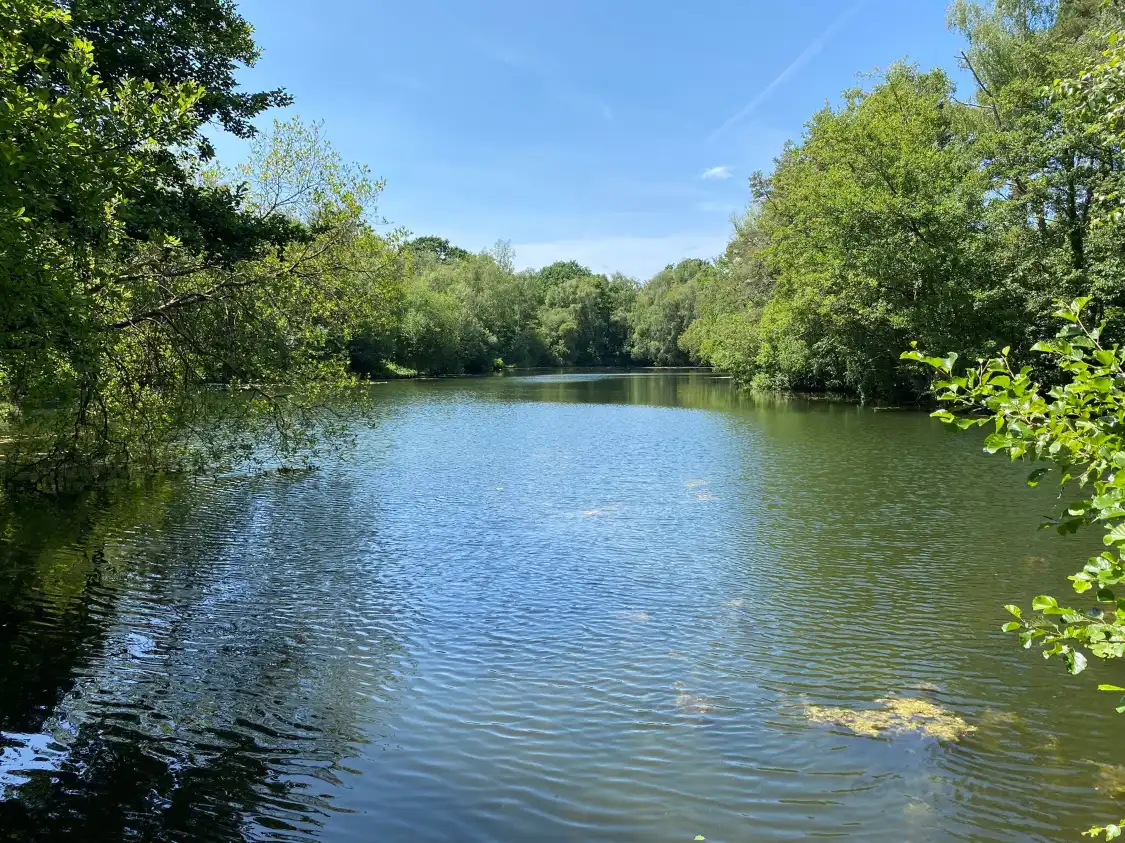 Hotel in zona Swanwick Lakes