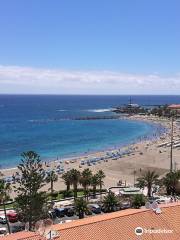 Playa de las Vistas