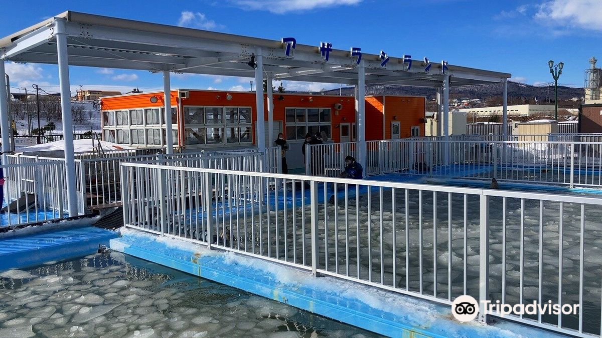 Okhotsk Tokkari Center (Seal Land)