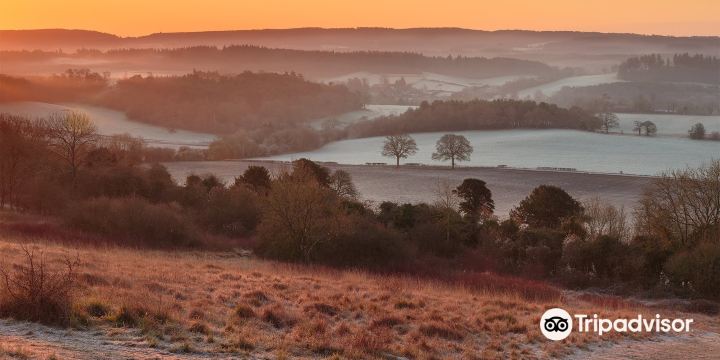 Newlands Corner