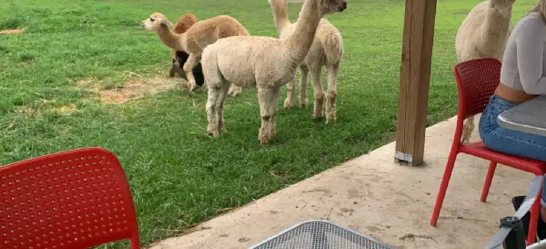 Hotels in Oxford County