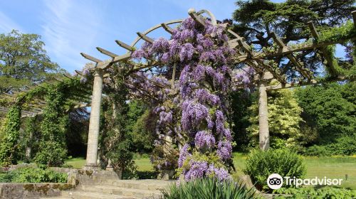 West Dean Gardens