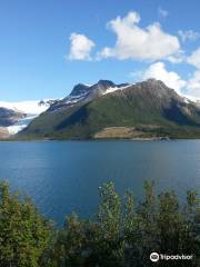 The Svartisen Glacier Austerdalsisen