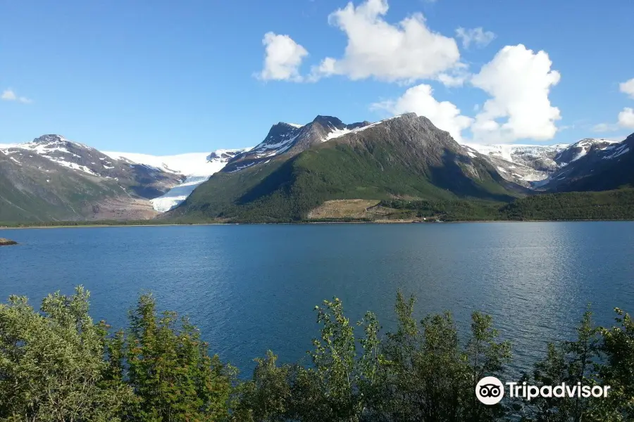 The Svartisen Glacier Austerdalsisen