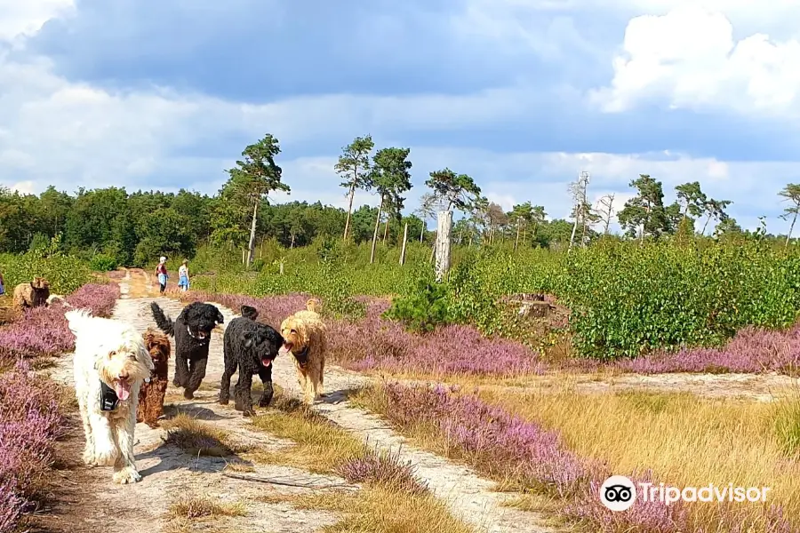 Strabrechtse Heide