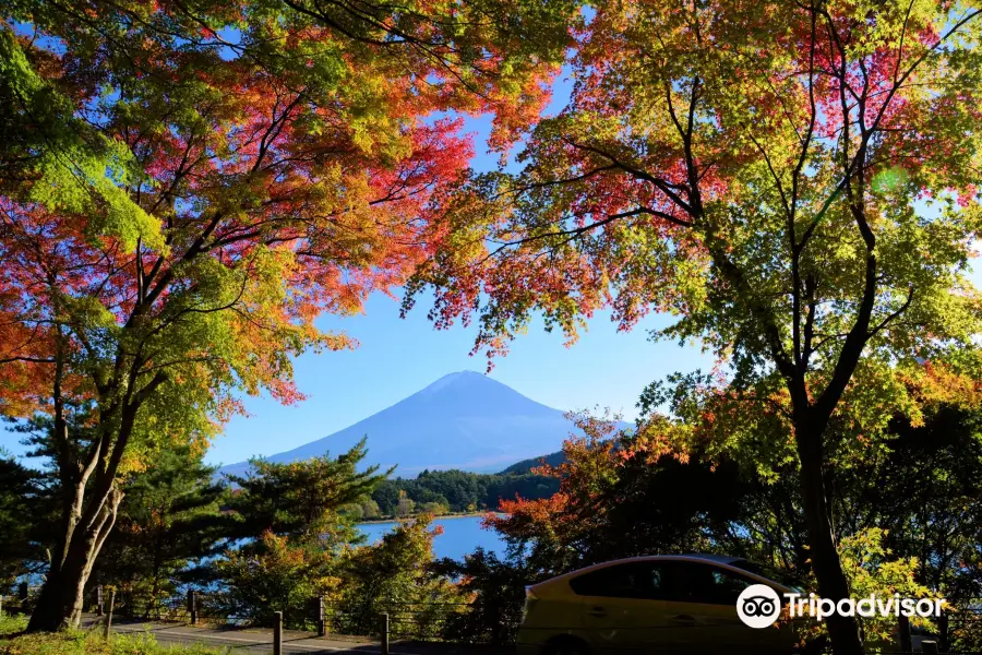 Momiji Tunnel