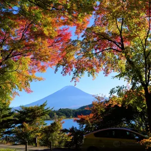 もみじトンネル