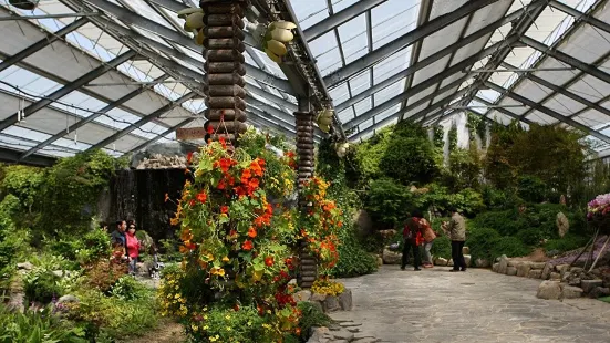 Hampyeong Expo Park - Natural Ecological Museum