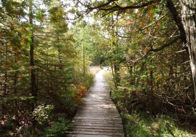 The Ridges Sanctuary Nature Center