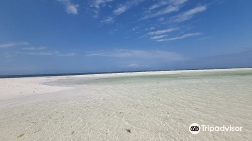 Spiaggia delle Tartarughe