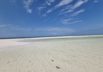 Spiaggia delle Tartarughe