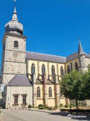 Eglise Abbatiale de Remiremont