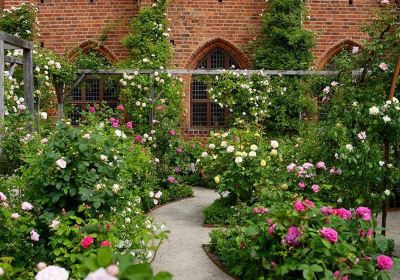 The Abbey in Ystad