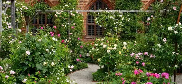Hotels in Ystad