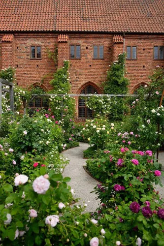 Greyfriars Abbey, Ystad