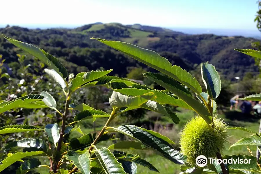 Giardino di Don Zocca