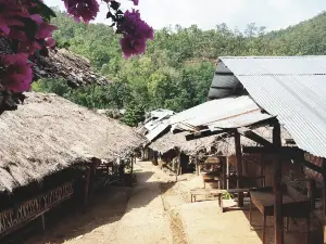 Long neck village market