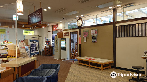 Nagakute Onsen Gozarasse
