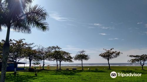 Praia das Palmeiras