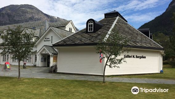 Galleri NB, Nils Bergslien