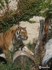 ボイシ動物園