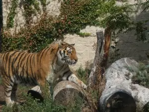 ボイシ動物園