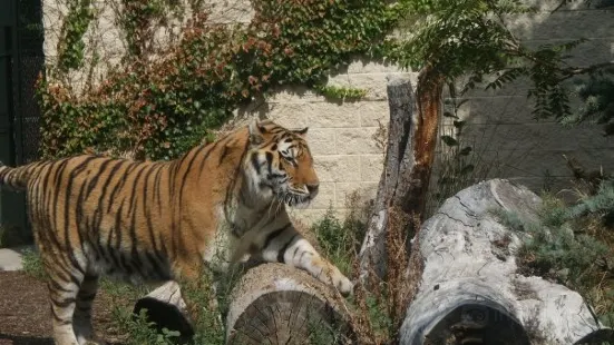 ボイシ動物園