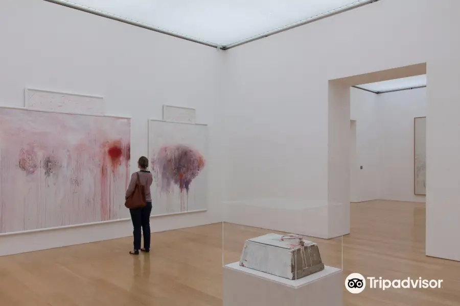 Cy Twombly Gallery