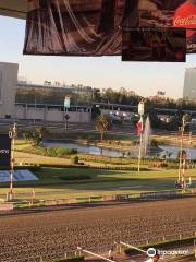 Hipódromo de las Américas