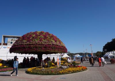 Geumsan Ginseng Festival