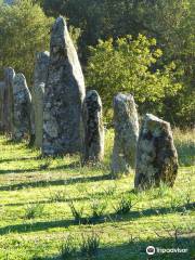 Menhir di Biru 'e Concas