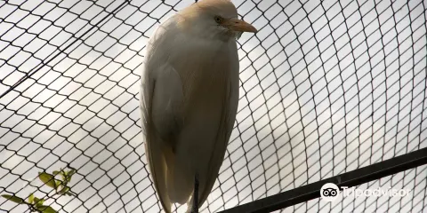 El Rincon de las Aves