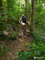 Dauset Trails