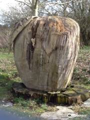 Beverley Parks Nature Reserve