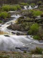 The Falls Waterfalls