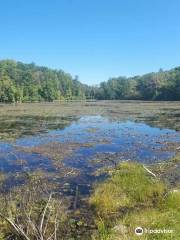 Jenny Jump State Forest