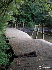 Beacon Wood Country Park