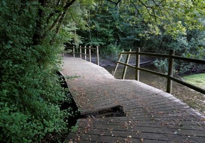 Beacon Wood Country Park