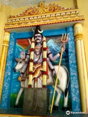 Sree Varaprada Venkateswar Devagiri Temple