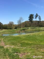 Golf Vichy Forest of Montpensier