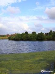 Tameside Local Nature Reserve