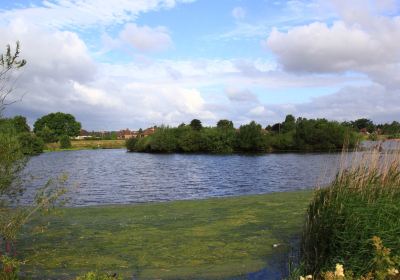 Tameside Local Nature Reserve