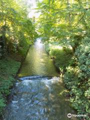 Alter Botanischer Garten