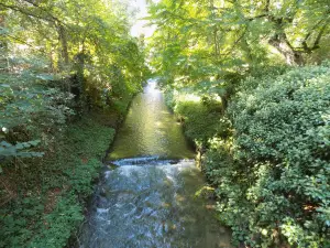 Alter Botanischer Garten