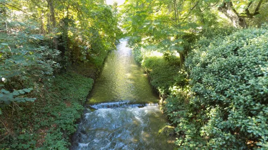 Alter Botanischer Garten